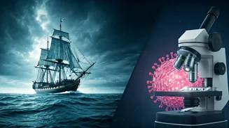 From Plague Ships to Hantavirus: How Sea Outbreaks Forged Global Public Health