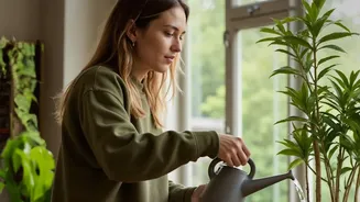 Humidity Makes Plant Watering More About Timing Than Quantity