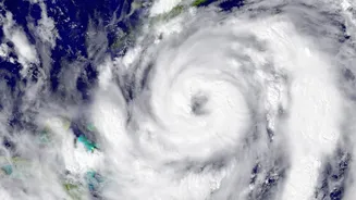 Cyclone Arnab Weather Impact: Disaster Response Teams Deployed Across High-Alert States
