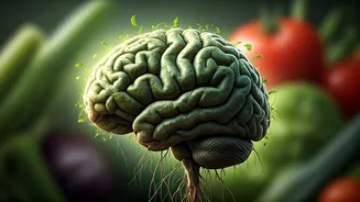 The Silent Fatigue Breakdown: Is Plant Food Depriving Your Brain?