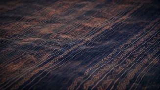 Dabu Printing: Rajasthan's Earthy Artistry Explained | Jayati Goenka's Craft Revival
