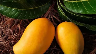 Why the US Needed New Inspection Rules Before Accepting Indian Mangoes