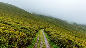 Scenic Hill Destinations Perfect For Rainy Escapes