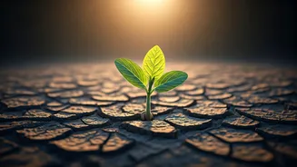 Related Stories banner