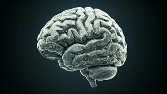 5 Mental Exercises for a Sharper Mind & Reversing Brain Aging