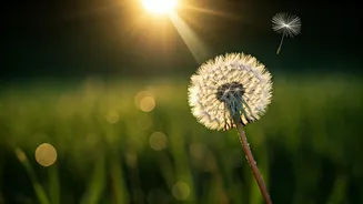 Unlock Life's Full Potential: Embrace Every Moment with Awe and Curiosity