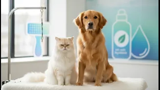 How To Balance Grooming Schedules With Parasitic Prevention Protocols In Damp Months