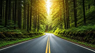 Nearby Escapes Are Getting More Exciting Than Ever