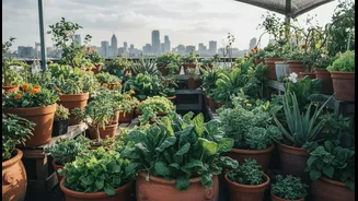 Bring Down Rooftop Heat With Easy-Care Plants Perfect For Monsoon Gardening