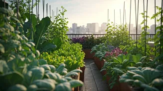 Why Urban Families Are Flooding Terrace Gardening Workshops Right Now