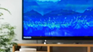 Planning Quiet Hours In Shared Flats Should Cover Calls And Music And Guests