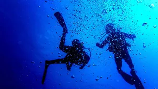 Andaman Tourism Booms After Covid: Visitors Up