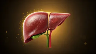 Ashwagandha: Unpacking the Health Benefits and Potential Liver Risks Explained by a Delhi Gastroenterologist