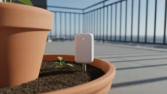 Microbial Soil Probes Track Balcony Garden Moisture To Prevent Unintentional Overwatering Damage
