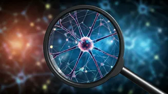 Decoding Human Behavior: 10 Subtle Signs of True Intentions