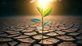 Related Stories banner