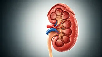 Tragedy in AP: Acute Renal Failure Claims Five Lives After Alleged Adulterated Milk Consumption