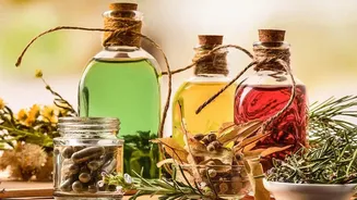 Natural Wellness Hacks: Ashwagandha vs Brahmi For Young Professionals Handling High Stress