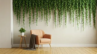 Create Breathtaking Ivy Reading Alcoves Inside Your Rental Flat