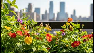 City Homes Can Build Mini Nature Corridors