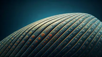 Whales: Giants of the Ocean & Cancer Insights