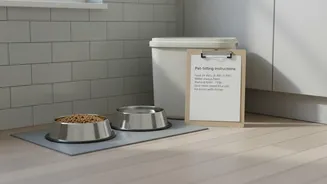 Overlooking Feeding Instructions Can Disrupt Plans For A Pet-Sitter Handover Sheet