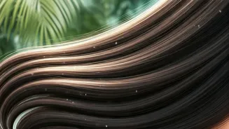 Humidity-Proof Hair Care Is Now Essential
