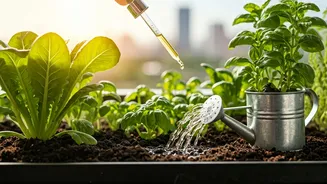 Organic Seaweed Concentrates Save Humid Balcony Gardens From Summer Wilting