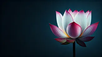 The Amma Era: Jayalalithaa's Reign and Transformation of Tamil Nadu Politics Post-2011