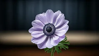 Camerimage 2025: Festival's Opening Film Revealed!