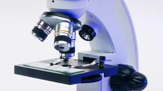 Microscopic Analysis of Historic Fallout Samples: What It Means for Materials-Science Readers