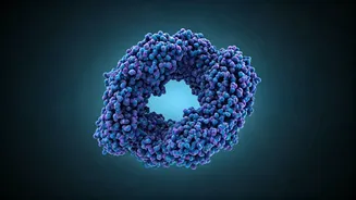 Your Protein Blueprint: Tailored Needs for Every Life Stage