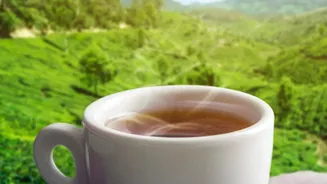 Why Artisanal Nilgiri Teas Lead The Low-Sugar Cold Beverage Revolution In India