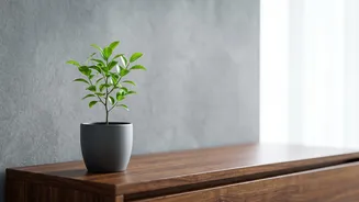 Building An Early Retirement Stash: Calculate FIRE Number To Guide Investments