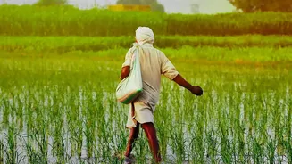 Pakistan's IRSA Sets Rabi Water Allocations Under A 22% Shortage Scenario During The Rabi Season