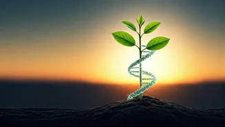 Raising a Healthy Generation: Combating Childhood Lifestyle Diseases