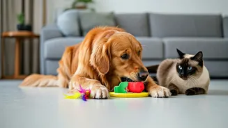 Simple Indoor Games To Keep Pets Active This Monsoon