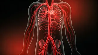 Early Weight Gain: A Critical Health Risk Unveiled by Major Study