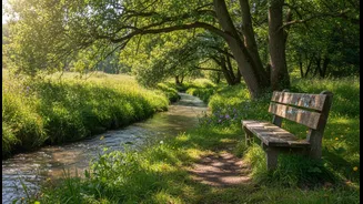 Travellers Are Discovering That Rest Needs Space Between Activities