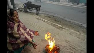 Intense Cold Wave To Grip North India From Today As Mercury Drops | Check Forecast