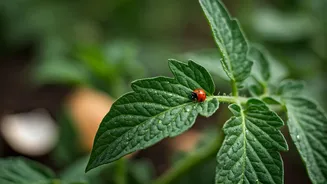 Clever Garden Pest Control: Expert Tips and Natural Solutions for a Thriving Yard