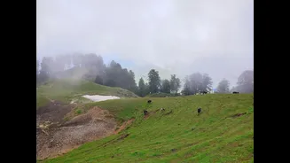 Hailstorms Damage Apple Harvest in Shopian, Kashmir