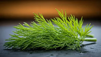 Shepu: The Humble Herb Unlocking the Secret to Luscious, Stronger Hair