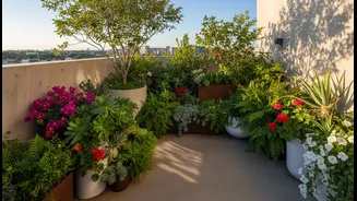 Terrace Plants Can Refresh Hot Concrete Spaces