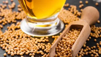 Kitchen Cooking Hacks: Cold-Pressed Seed Oils vs Refined Oils For Heart Safety
