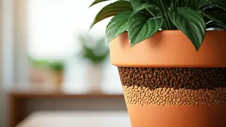 Healthy Indoor Plants Start With Better Drainage