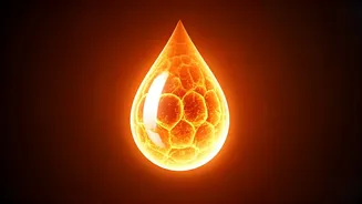 Kerala's Heatwave Advisory: Staying Safe Amidst Rising Temperatures