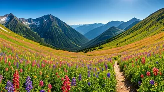 Valley Of Flowers Season Is Peak Nature Travel