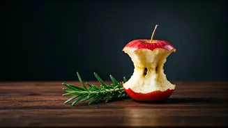 Intermittent Fasting: Beyond the 5kg Quick Fix – A Nutritionist's Guide