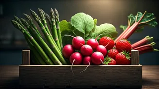 Related Stories banner